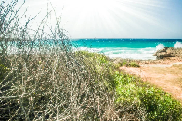 Belle plage avec des vagues dans la nature du fond — Photo