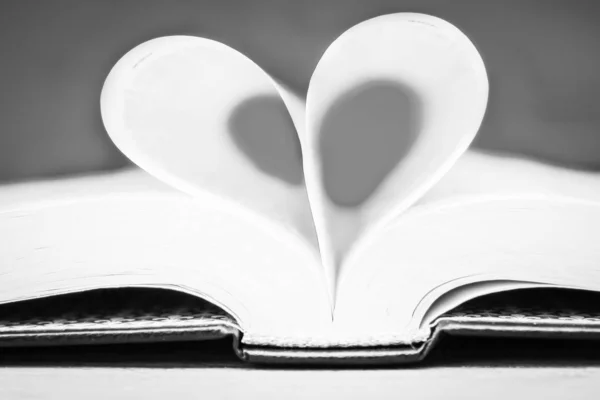 Bibeln och dagen i kärlek — Stockfoto