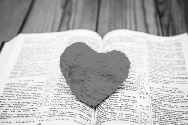 Библия и день любви — стоковое фото