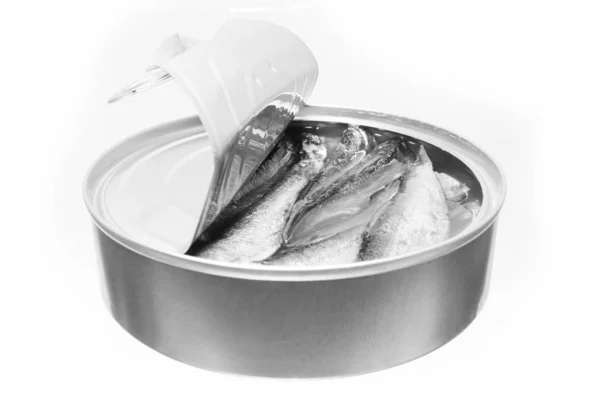 Mooie slavin sprats op een witte achtergrond — Stockfoto