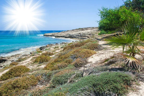 Beautiful beach with waves in the nature of the background — Stock Photo, Image