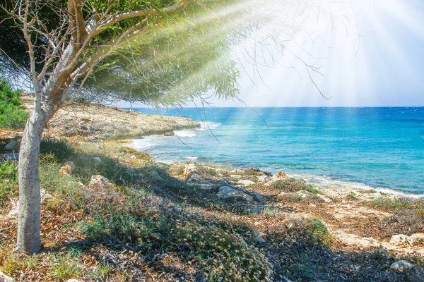 Mooi strand met golven in de natuur van de achtergrond — Stockfoto