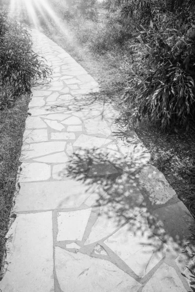 Beau sentier dans la mer sur fond de nature — Photo