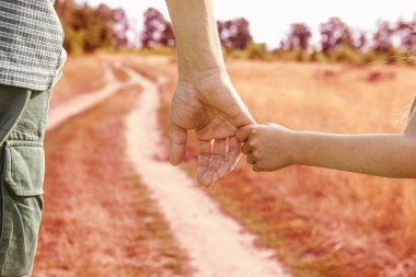 Bir parkta doğada bir ebeveyn ve çocuğun şık elleri geri