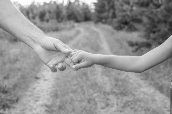 Les mains élégantes d'un parent et d'un enfant dans la nature dans un parc retour — Photo