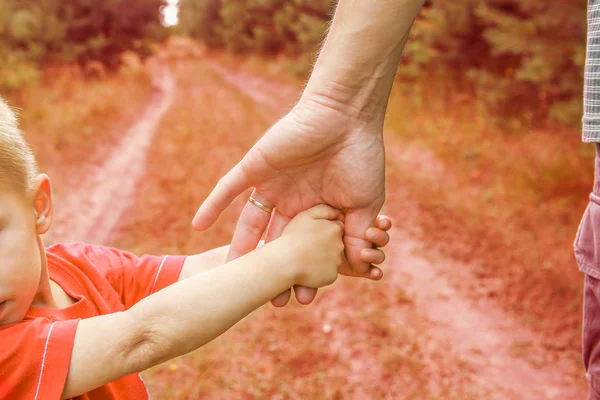 Las manos elegantes de un padre y un niño en la naturaleza en un parque —  Fotos de Stock