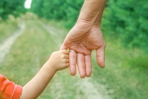 Las manos elegantes de un padre y un niño en la naturaleza en un parque —  Fotos de Stock
