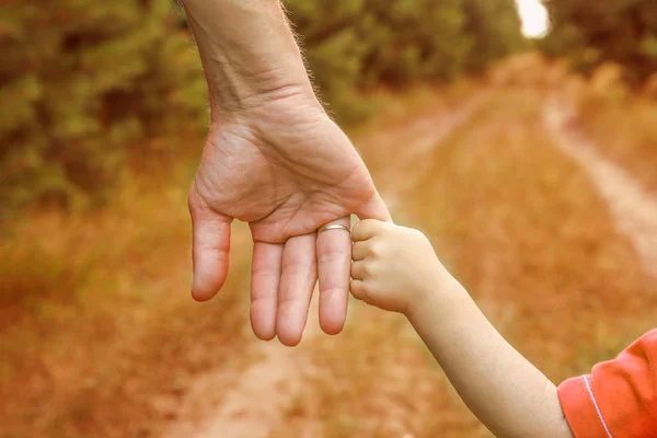 Las manos elegantes de un padre y un niño en la naturaleza en un parque —  Fotos de Stock