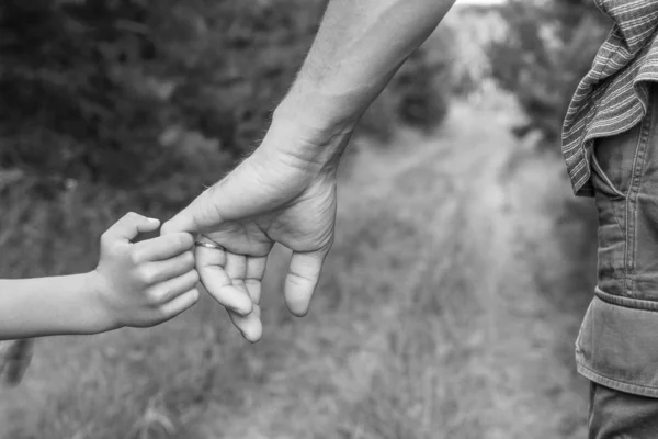 Mani eleganti di un genitore e un bambino nella natura in un parco indietro — Foto Stock