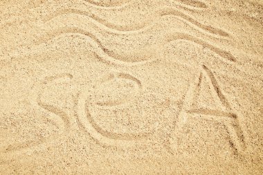 Denizin arka planında güzel çizimler