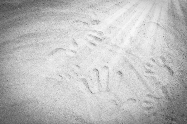 Beau dessin sur le sable du fond de la mer — Photo