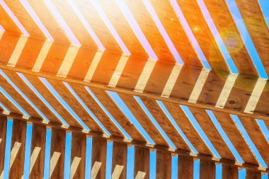 Şık güzel deniz şemsiyesi arka plan