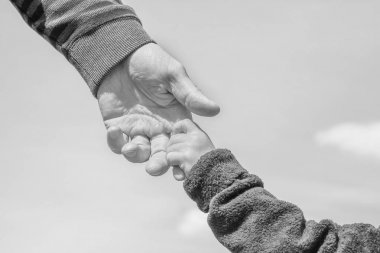 Bir parkta doğada bir ebeveyn ve çocuğun şık elleri geri