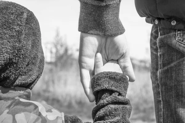 Les mains élégantes d'un parent et d'un enfant dans la nature dans un parc retour — Photo