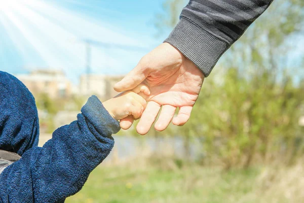 Стильные руки родителя и ребенка на природе в парке назад — стоковое фото