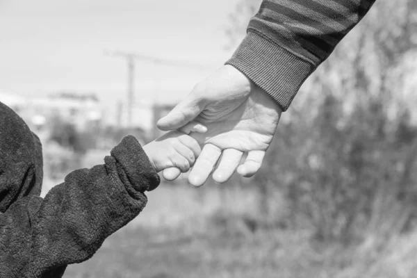 Mani eleganti di un genitore e un bambino nella natura in un parco indietro — Foto Stock