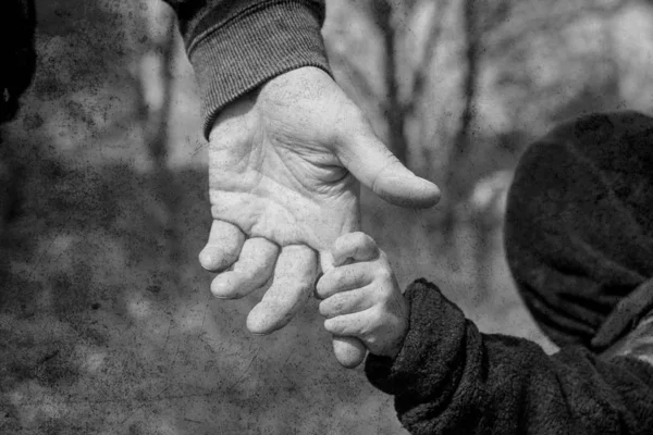 Vieja foto de la mano de un padre y un niño en la naturaleza en una p —  Fotos de Stock