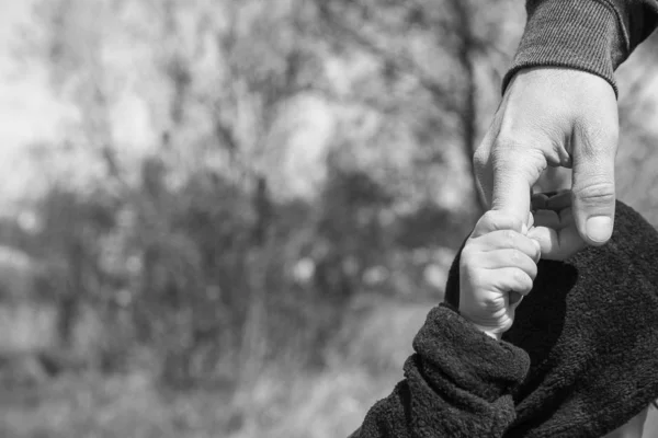 Les mains élégantes d'un parent et d'un enfant dans la nature dans un parc retour — Photo