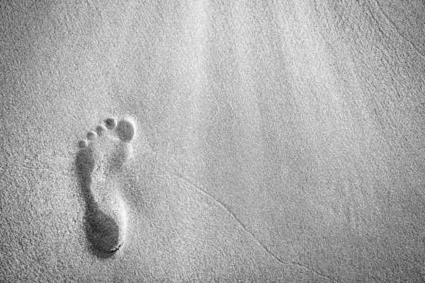 Beautiful footprints in the sand near the sea on nature backgrou — Stock Photo, Image