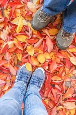 bir arka plan üzerinde sonbaharda yaprakların arka planda ayaklar