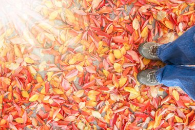 Ayaklar sonbaharda yaprakların arka planında bir arka planda