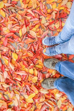 Ayaklar sonbaharda yaprakların arka planında bir arka planda