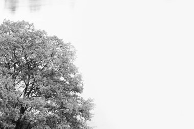 Doğada bir parkta güzel sonbahar arka plan