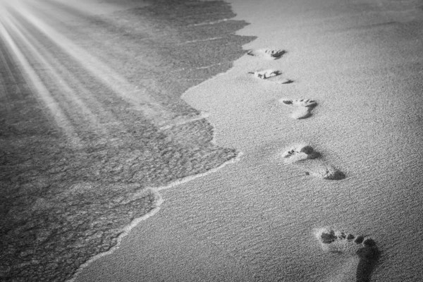 Beautiful footprints in the sand near the sea on nature backgrou — Stock Photo, Image