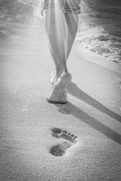 自然を背景に海の近くに足を持つ美しい痕跡 — ストック写真