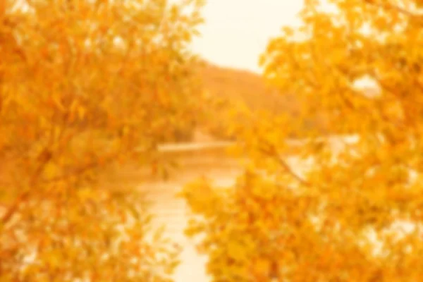 Vacker höst bakgrund i en Park på naturen — Stockfoto