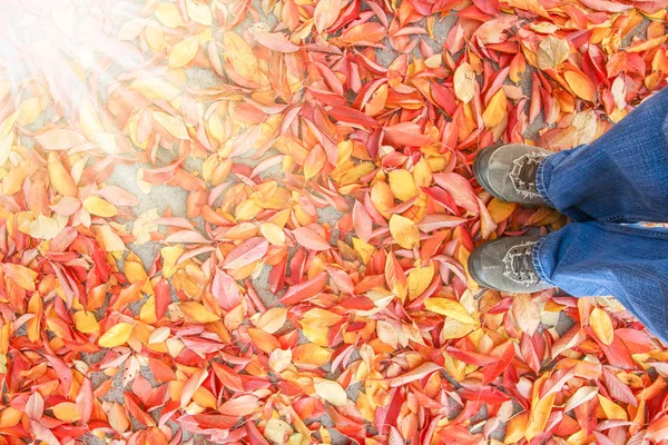 Ayaklar sonbaharda yaprakların arka planında bir arka planda