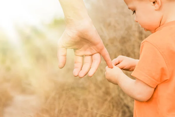 Красивые руки счастливого ребенка и родителя в природном парке — стоковое фото