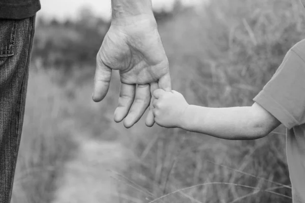 Belle mani di un bambino felice e genitore nel parco naturale — Foto Stock