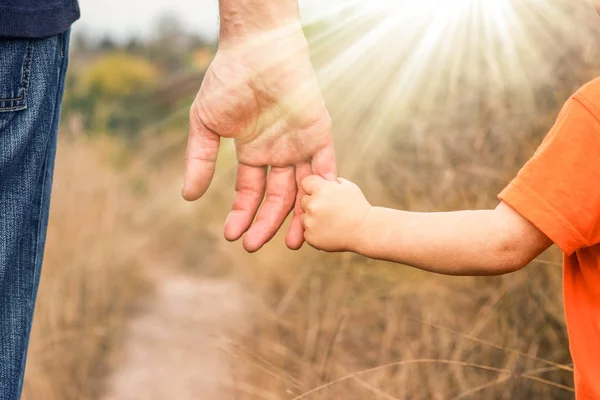 Beautiful hands of a happy child and parent in the nature park — Stock Photo, Image