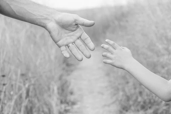 Belles mains d'un enfant heureux et parent dans le parc naturel — Photo