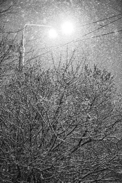 Lámpara de calle de invierno por la noche — Foto de Stock