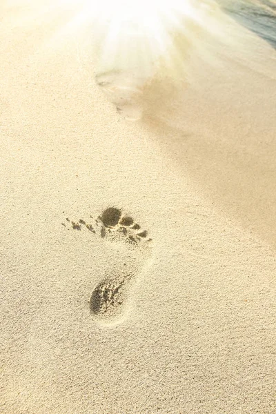 Belle impronte con i piedi sullo sfondo di sabbia — Foto Stock