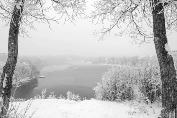 Stylish beautiful nature in winter in a park on the nature — Stock Photo, Image