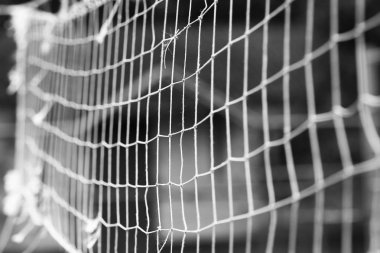 Parkta doğa üzerinde oynayan güzel voleybol ızgara