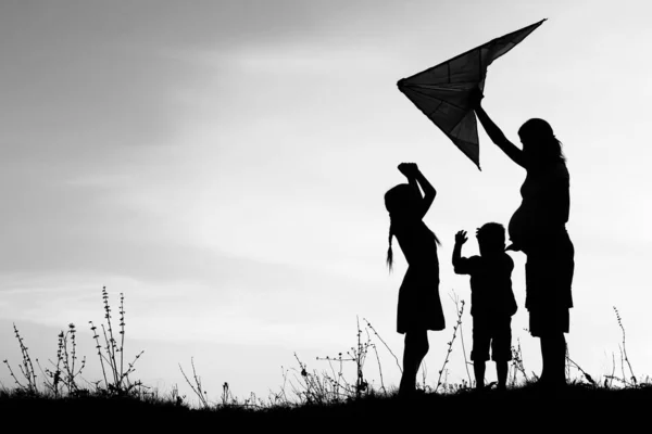 Genitore felice con bambini che giocano sulla silhouette estiva della natura — Foto Stock