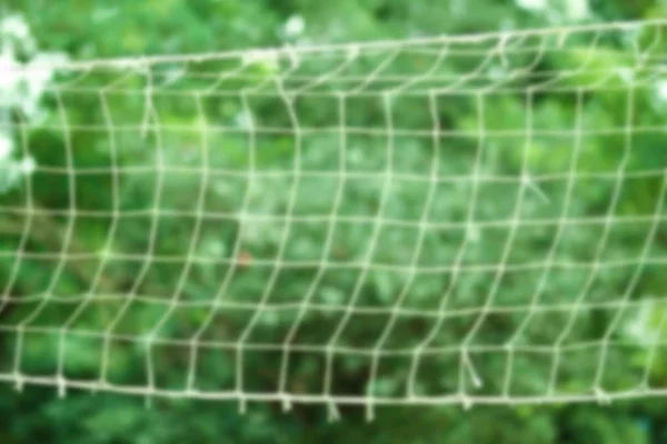 Schönes Volleyballnetz, das auf der Natur im Park spielt — Stockfoto