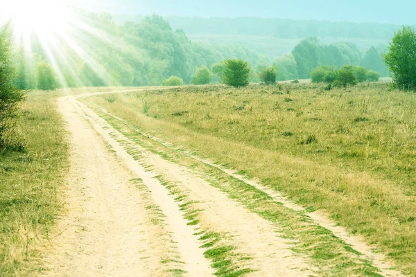 Road path park at sunset background — Stock Photo, Image