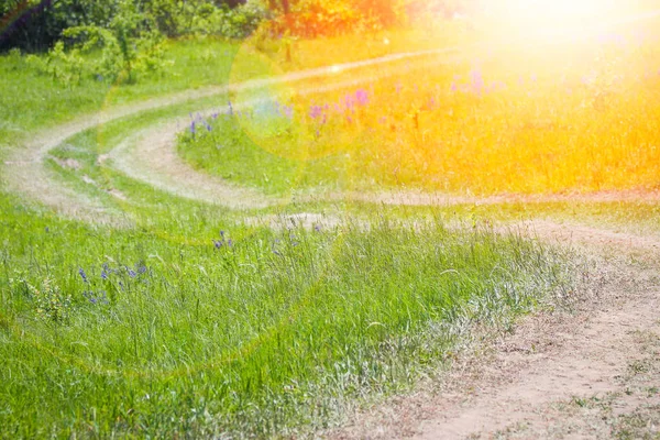 Beautiful landscape nature park background summer — Stock Photo, Image