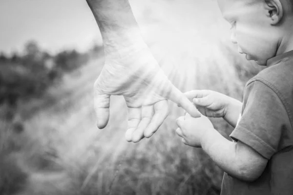 Όμορφα χέρια ενός ευτυχικού παιδιού και γονέα στο φυσικό πάρκο — Φωτογραφία Αρχείου