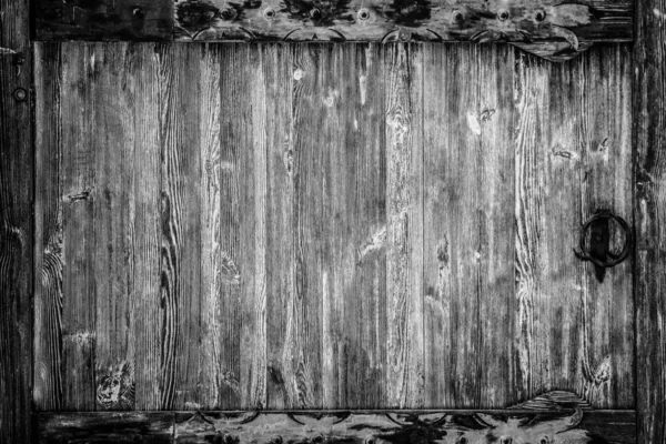 Stijlvolle mooie oude poort in het natuurpark — Stockfoto