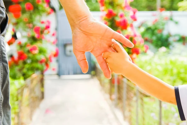 Doğada bir parkta bir çocuk ve bir ebeveynin güzel eller — Stok fotoğraf
