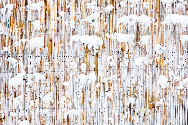 Bold fence in winter on nature in the park background — Stock Photo, Image