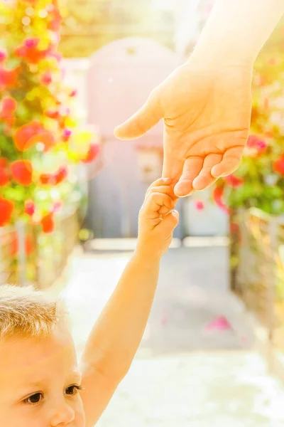 Όμορφα χέρια ενός παιδιού και ενός γονέα σε ένα πάρκο στη φύση — Φωτογραφία Αρχείου