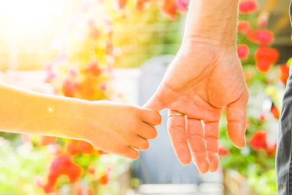 Vackra händer med ett barn och en förälder i en Park i naturen — Stockfoto