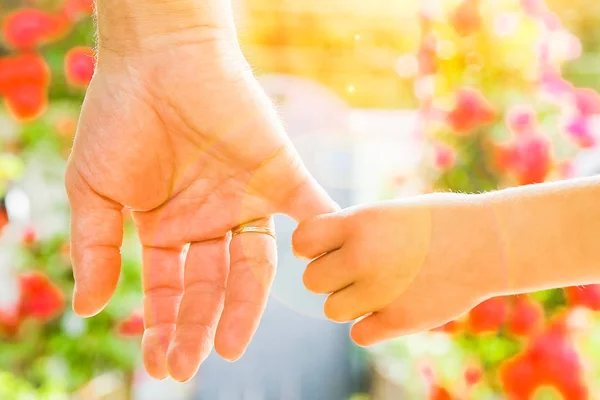 Mooie handen van een kind en een ouder in een park in de natuur — Stockfoto